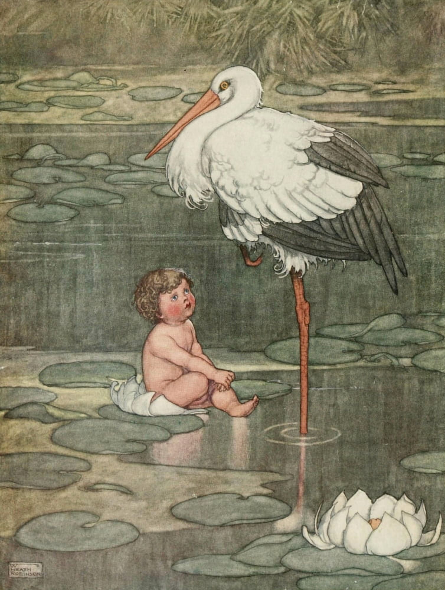 Hans Andersens Fairy Tales 1913 The Marsh Kings daughter Canvas Art - W Heath Robinson (24 x 36)
