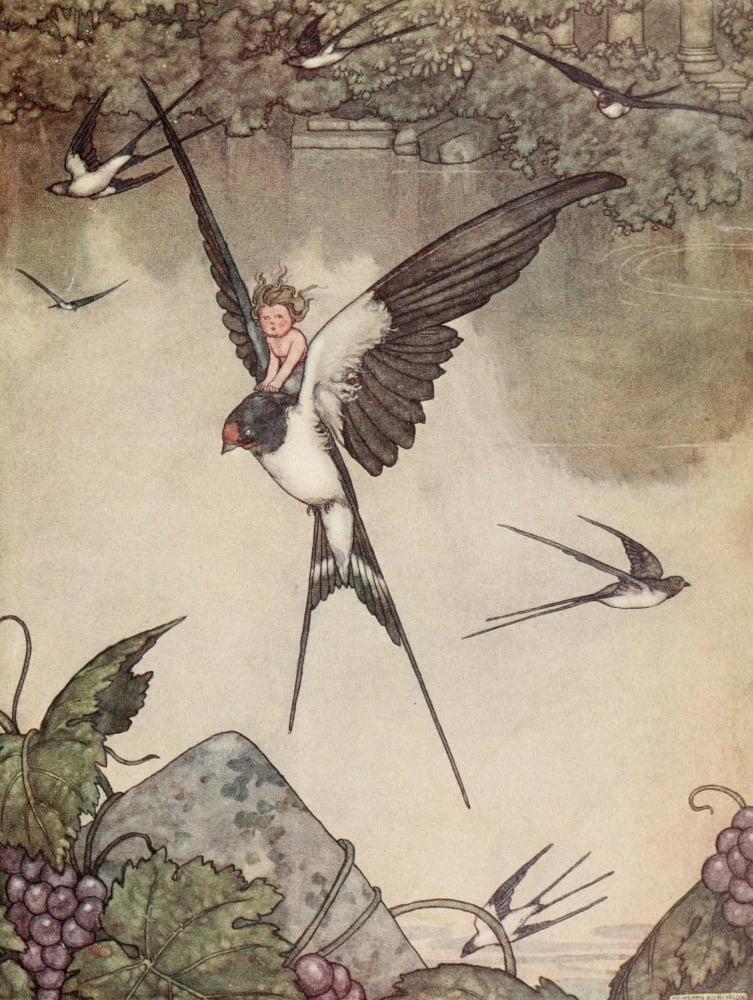 Hans Andersens Fairy Tales 1913 Tommelise Canvas Art - W Heath Robinson (18 x 24)