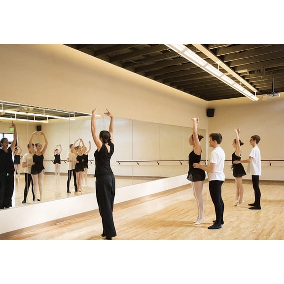 Hans Wall-Mounted Activity Mirror for Gymnastics,Fitness(48"X32") (1)