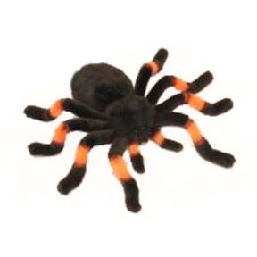 TARANTULA 11.9"W