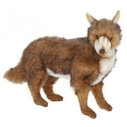 COYOTE, ADULT 20L