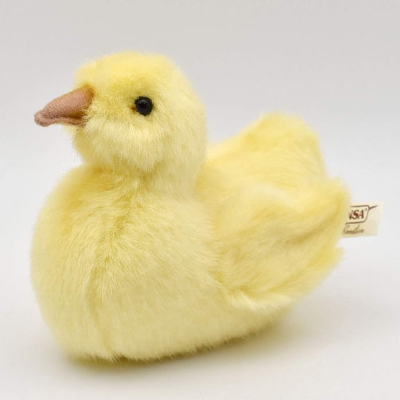 DUCK CHICK 5