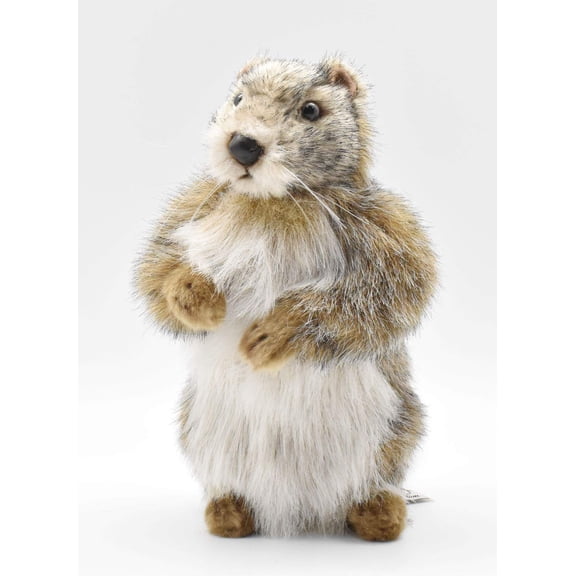 Hansa - 9 Inch Baby Mamot (Groundhog)