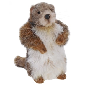 Hansa - 9 Inch Baby Mamot (Groundhog)