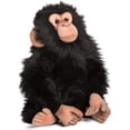 thumbnail image 1 of Hansa 9" Junior Chimp, 1 of 2