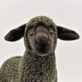 thumbnail image 1 of Hansa - Black Kid Sheep Plush Toy, 1 of 7