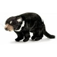 thumbnail image 1 of Down Under Youth Tazemanian Devil Stuffed Animal, 1 of 2