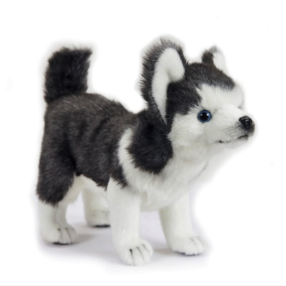 Hansa - Husky Pup, Standing
