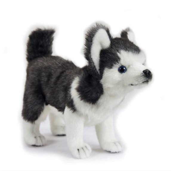 Hansa - Husky Pup, Standing