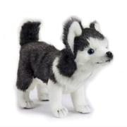 Hansa - Husky Pup, Standing