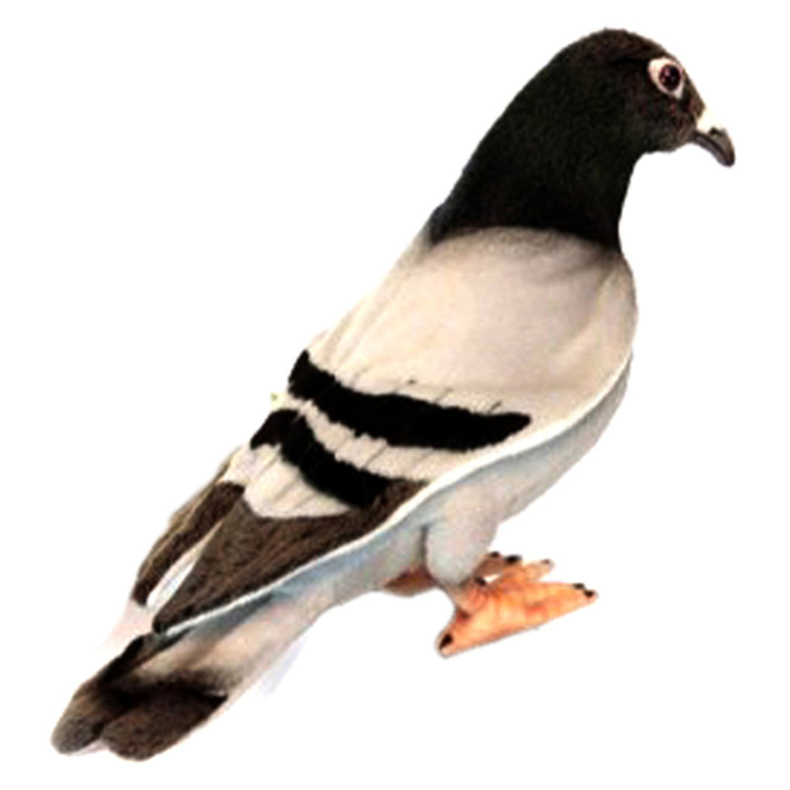 Pigeon en peluche - Hansa