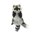 thumbnail image 1 of Hansa - Racoon Puppet, 10.5", 1 of 1