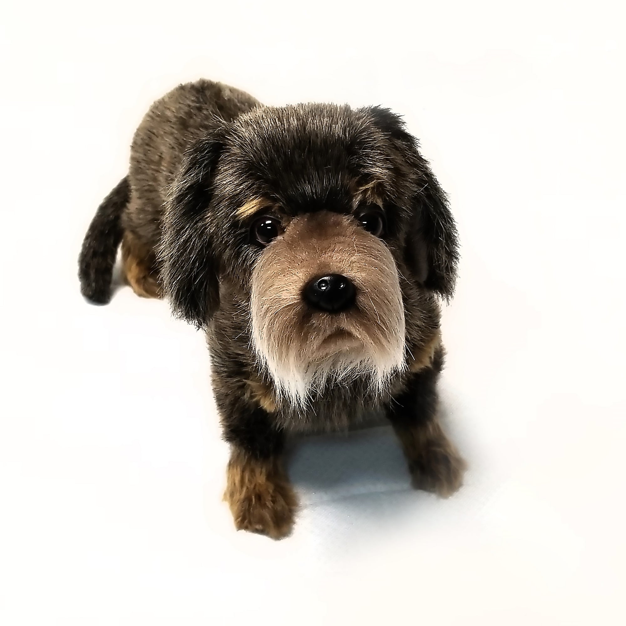 Dachshund Standing (42cm) by Hansa main image 0