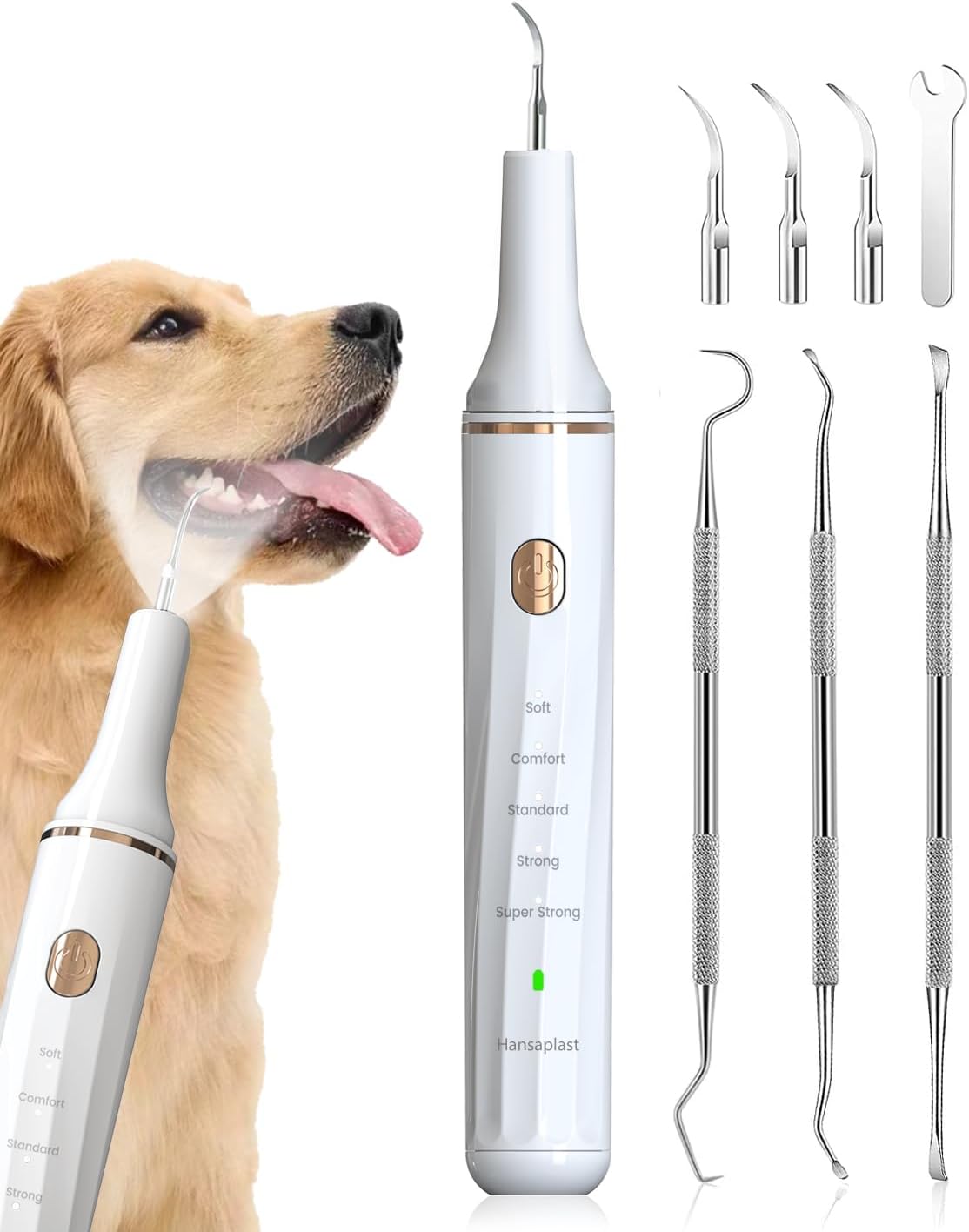Hansaplast Plaque Remover for Teeth, Dog Teeth Cleaning, Dental Tools ...