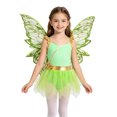 thumbnail image 1 of Hansber Kids Girls Sleeveless Camisole Leotard Tutu Dress with Fairy Wings 2-Piece Fairytale Princess Outfits Set Green 6, 1 of 6
