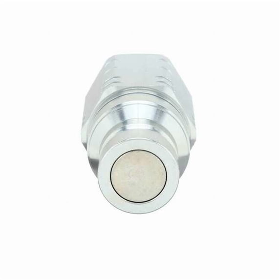 Hansen Quick Connect,Plug,3/4",3/4"-14 19FFP75