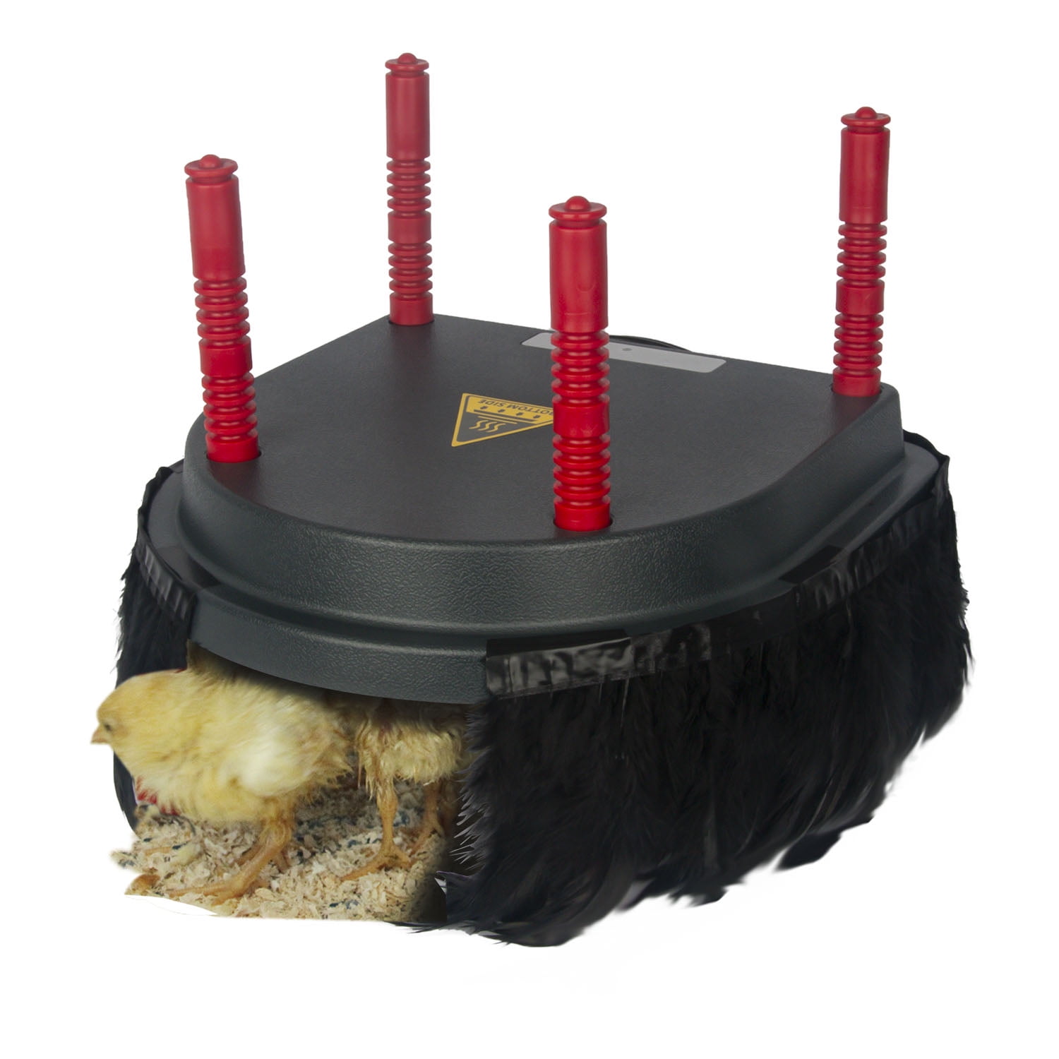 Hantop Chick Brooder Heating Plate (10" x 10") with Comfort Feathers Set - Warms Up to 15 Chicks - 13 Watts