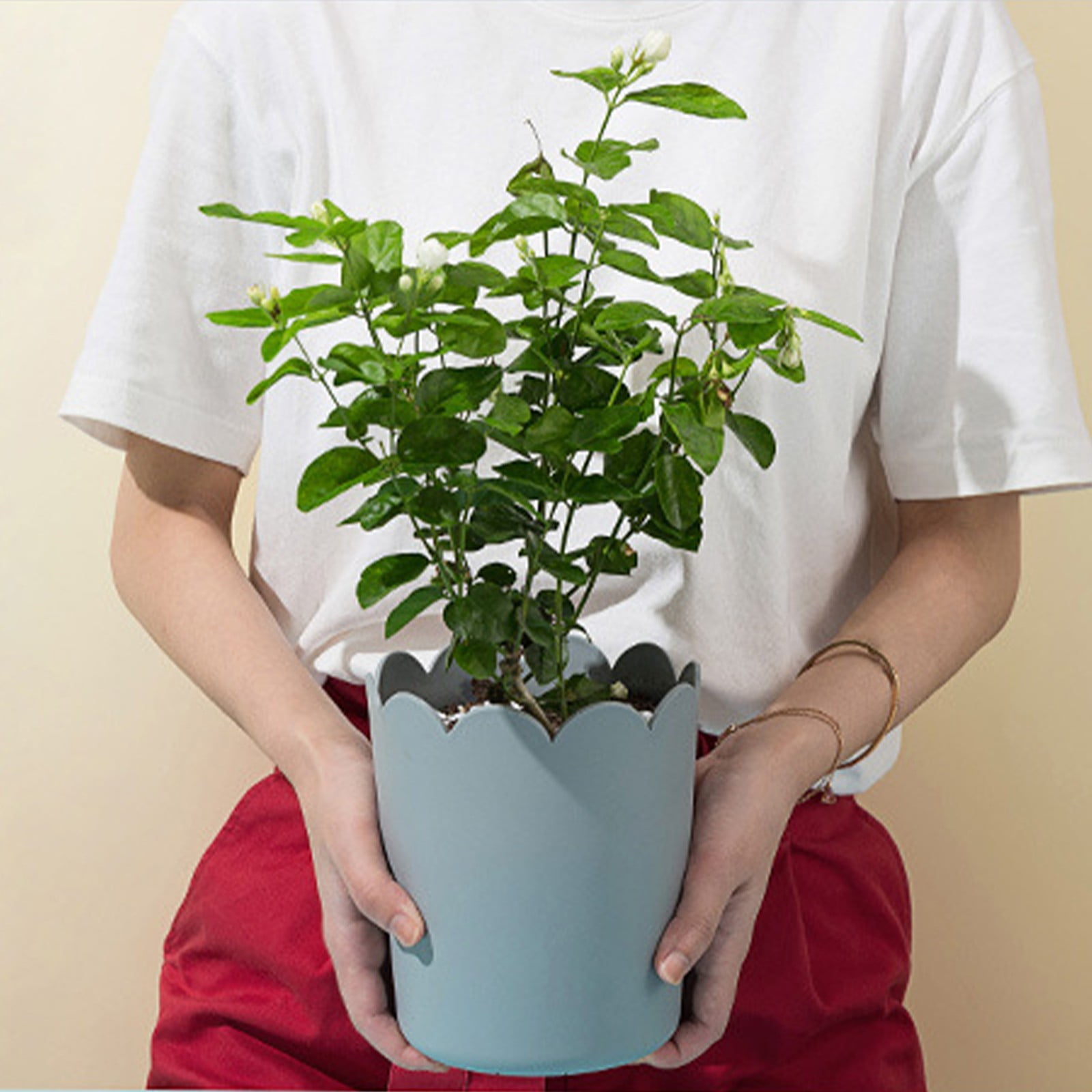 Hanzidakd Flower Pots Plastic Plant Pots For Plants With Saucers Indoor