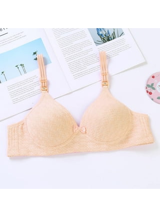 Vestitiy Push Up Padded Bras Women's Plus Size Anti Sagging Gathered Double  Breast Without Steel Ring Thin Rose Print Bra 
