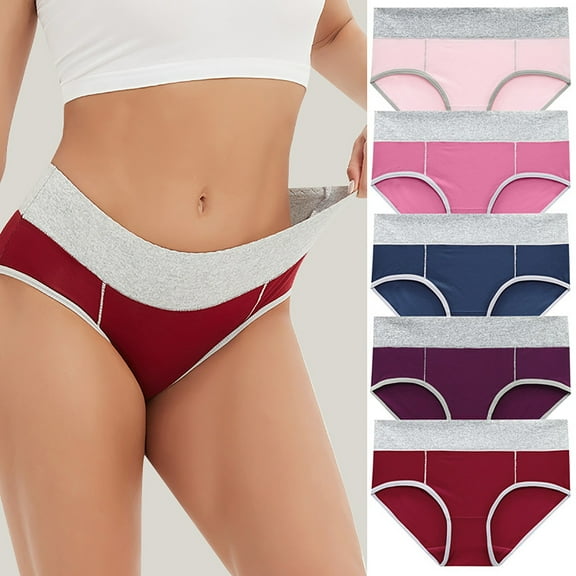HaoXianJian 5Pc Underwear for Women Cute Hight Rise Bikini Brief Panties Ladies Stretchy Cheeky Briefs Panty Breathable Stretch Underpants 3X 4X 5X