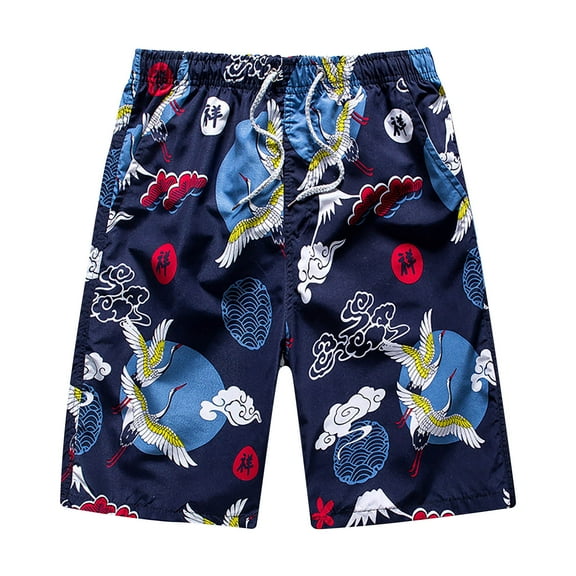 HaoXianJian Men's Shorts Hawaiian Summer Beach Short Casual Lightweight Swim Trunks Drawstring Quickly Dry Holiday Tropical Shorts with Pockets 3X 4X 5X