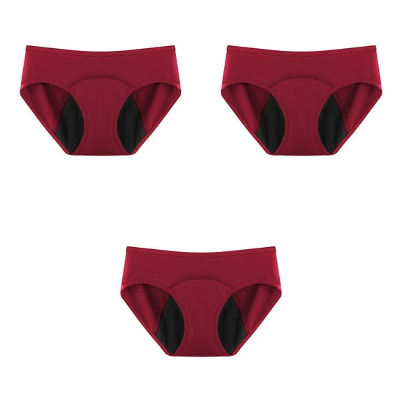 HaoXianJian Plus Size Women's High Absorbency Period Underwear Leakproof Panties Incontinence Protective Briefs No side leaks Underpants 3X 4X 5X