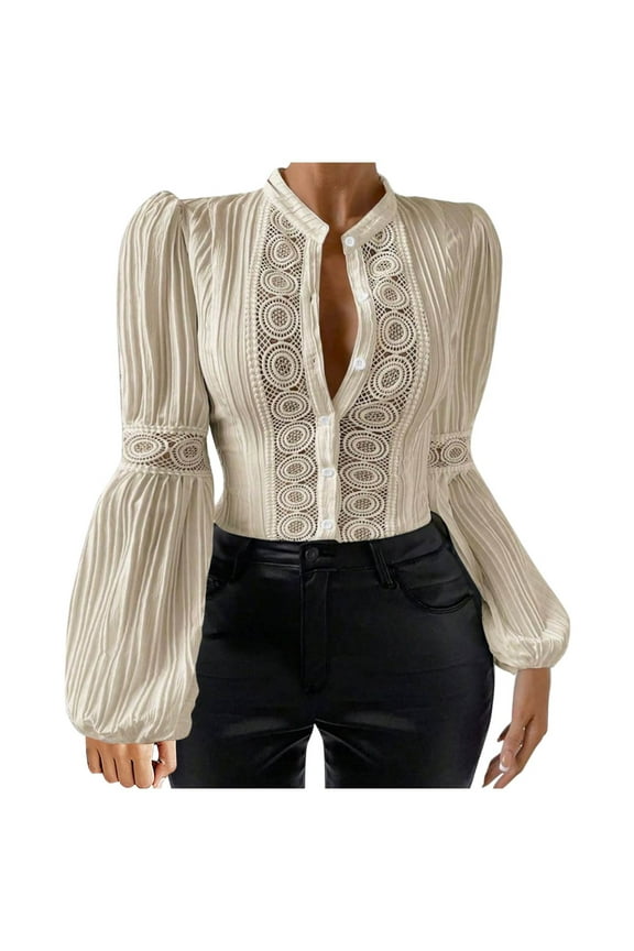 Plus Size Women's Shirts Lantern Long Sleeve Top Button Up Lace Eyelet Blouse Top Puff Sleeve Peplum Tunic Shirts Collared Blouses 3X 4X
