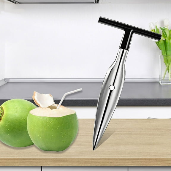 HaoXun Stainless Steel Coconut Opener Tool for Camping & Kitchen - Easy to Use Drill Punch Opener, Portable Coconut Cracker for Young White/Green Husk Coconuts (Travel Gadget)