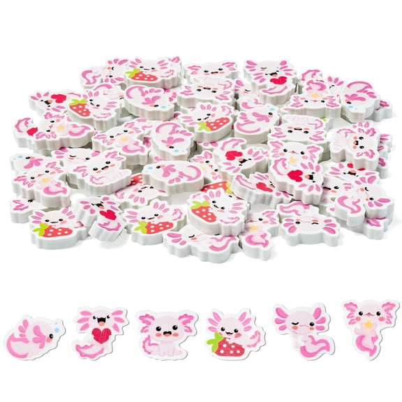 Haooryx Mini Axolotl Erasers for Teaching Rewards, 6 Styles Adorable Erasers, 60 Pieces