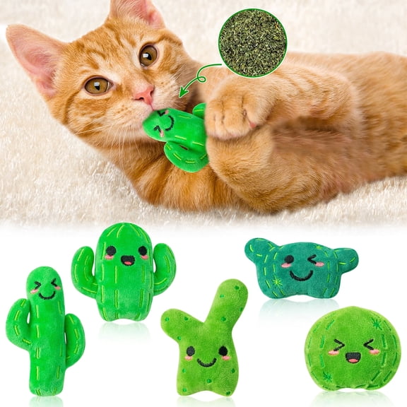Haooryx Cactus Catnip Toys Soft Adorable Interactive Toys for All Breeds of Cats, 6 Pieces