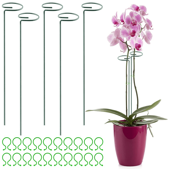 Haooryx Plant Stakes with Reusable Clip Kit for Plant, Flower Supports Stand Gardening Tool,5 Count