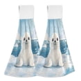 thumbnail image 1 of Haosy 2 Pack Kitchen Wash Cloths with Hanging Loops Absorbent Absorbent Quick Drying Hand Towels, Baby Seal on Iceberg, 1 of 7