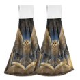 thumbnail image 1 of Haosy 2 Pack Kitchen Wash Cloths with Hanging Loops Absorbent Absorbent Quick Drying Hand Towels, Owl Perched on Book, 1 of 7
