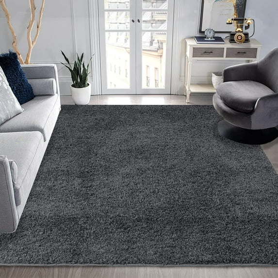 Haperlare 8' x 10' Area Rugs Solid Plush Carpet Soft Non-Shedding Rug for Home, Dark Gray
