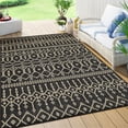 thumbnail image 1 of Haperlare Black Indoor/Outdoor Area Rug 5'3" x 7'3" Bohemian Rustic Kitchen Rugs for Backyard Balcony, 1 of 7