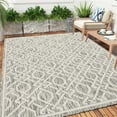 thumbnail image 1 of Haperlare Boho Area Rug 8'9" x 12'2" Textured Weave Indoor/Outdoor Gray Rug for Porch Easy Cleaning, 1 of 7