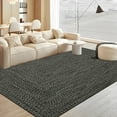 thumbnail image 1 of Haperlare Modern Area Rugs for Living Room Braided Print Machine Washable Ultra-Thin Soft Woven Rugs for Bedroom,Solid Dark Grey Carpet,8'x10', 1 of 7