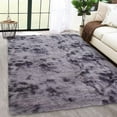 thumbnail image 1 of Haperlare Shaggy Area Rug for Living Room 4'x6' Abstract Home Decorative Non-Slip Plush Fluffy Furry Fur Rugs Comfy Dorm Nursery Carpet, Dark Gray, 1 of 7
