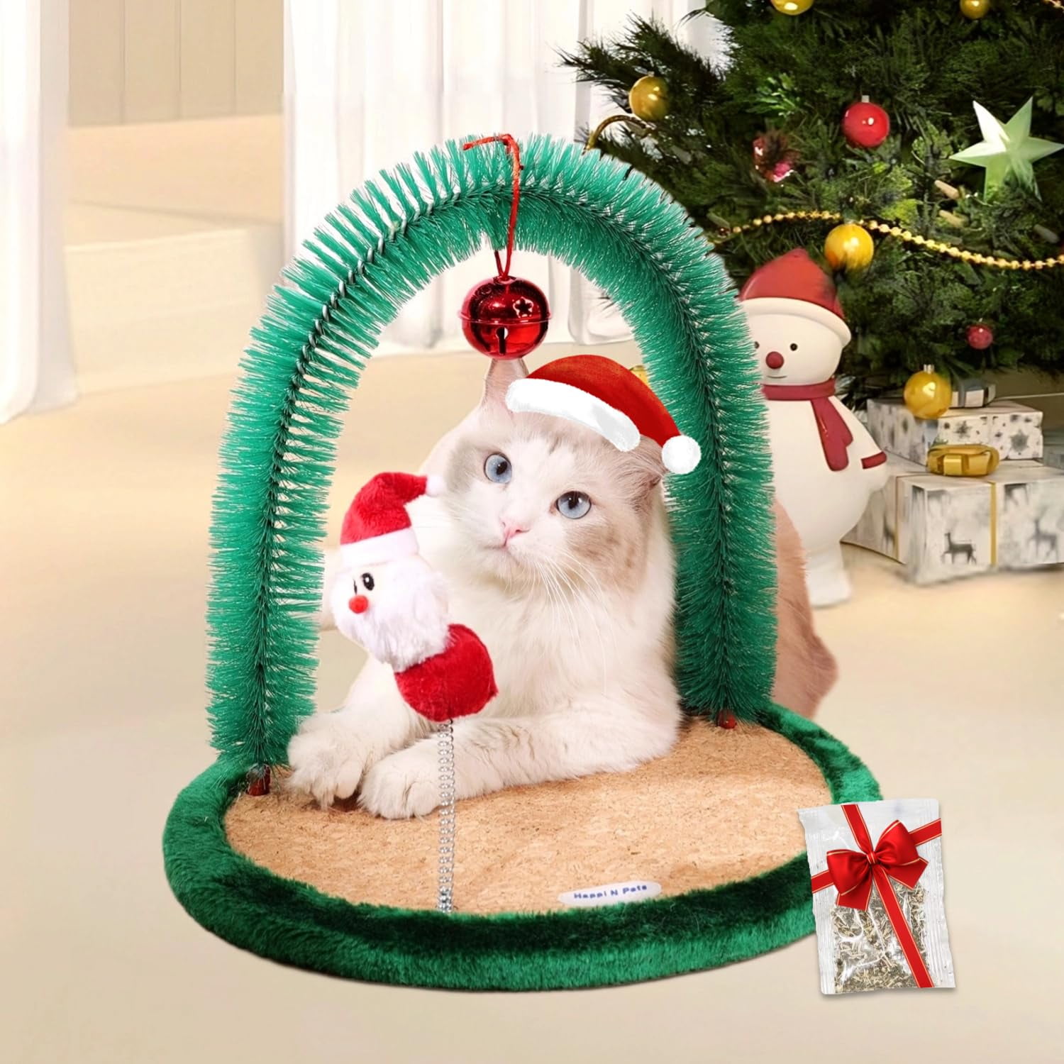 How Much to Tip Dog Groomer at Christmas: Ultimate Guide 2025