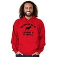 thumbnail image 1 of Happiness Loving A Pitbull Rescue Dog Unisex Plus Size Hoodie Brisco Brands 4X, 1 of 6