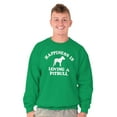 thumbnail image 1 of Happiness Loving A Pitbull Rescue Dog Unisex Plus Fleece Graphic Sweatshirt Brisco Brands 3X, 1 of 5