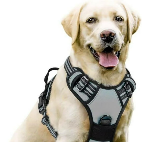 Happini PawSafety No Pull Harness Dog for German Dog Xl No Rub Frenchie No Easy Dog Medium Heeler Car for Dogs Dog Xsmal Pecheras Perros Pequeños Tipo Militar Adjustable Dog Mesh Vest for Dogs with