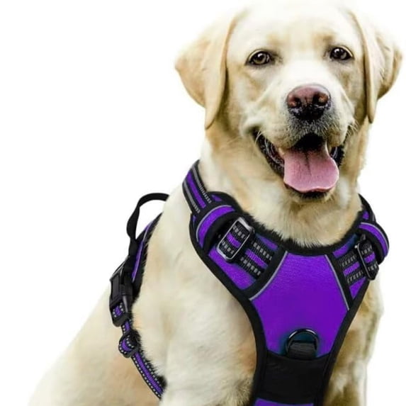 Happini PawSafety No Pull Harness Dog for German Dog Xl No Rub Frenchie No Easy Dog Medium Heeler Car for Dogs Dog Xsmal Pecheras Perros Pequeños Tipo Militar Adjustable Dog Mesh Vest for Dogs with
