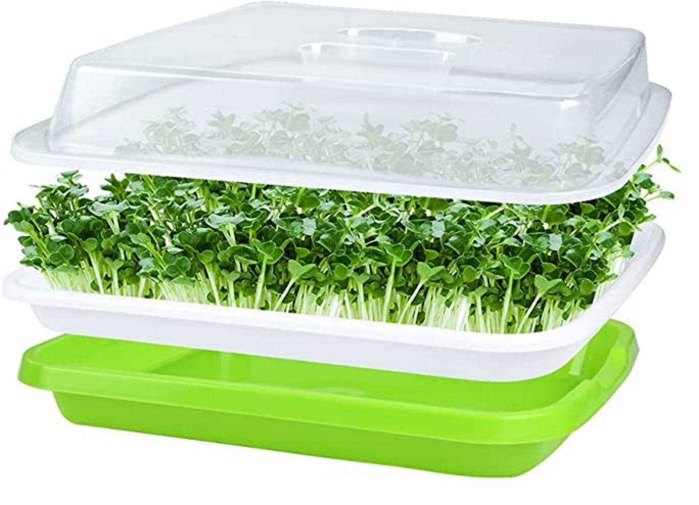Happon 1 Pack Seed Sprouter Tray, Big Capacity Seed Germination Tray ...