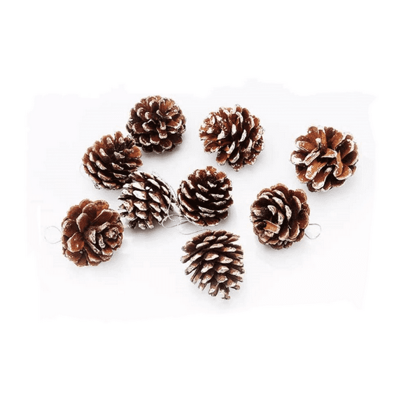Happon 9 Pieces Pine Cones for Christmas Tree Christmas Pine Cones Ornaments Pine Cones Decorations Frosted Mini Pine Cones Xmas Pinecones with String Pendant Crafts for Farmhouse Winter Party