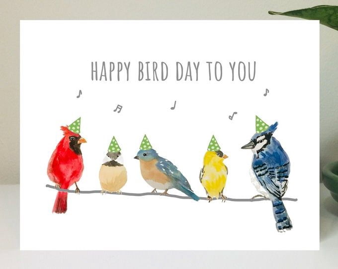 Happy Bird Day Greeting Card – Colorful Bird Design – Birthday ...
