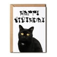 thumbnail image 1 of Happy Birthday Cat Card – Cute Black Cat Design with Whimsical Kitty Letters – Blank Inside with Envelope – Perfect for Cat Lovers and Birthday Celebrations, 1 of 3