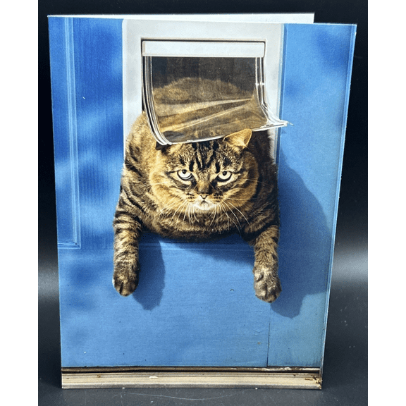 Happy Birthday (Cat) Greeting Card w/Envelope