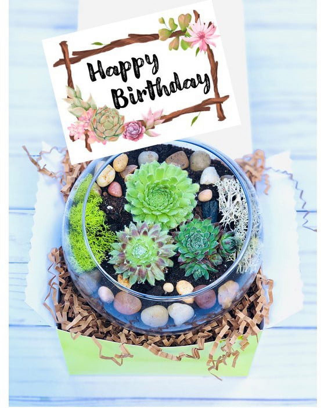 Happy Birthday Gift set, Succulent gift box, Friend Gift Box