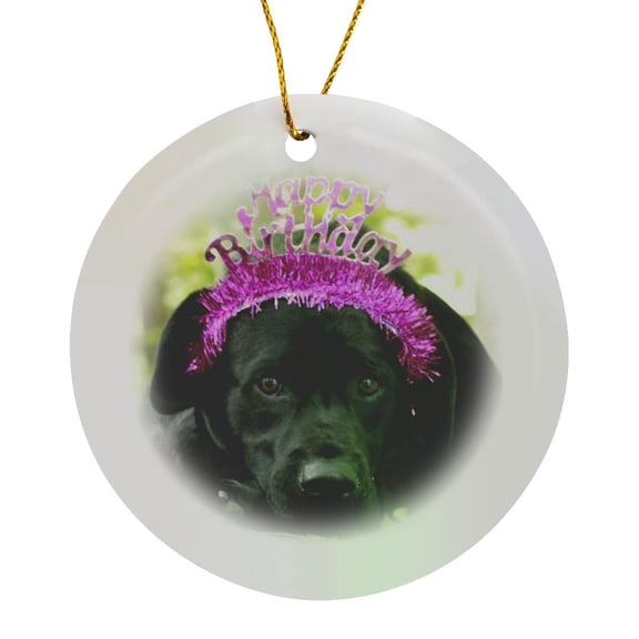 3drose, Happy Birthday Wishes Dog Black Lab Labrador Retriever, Circle Porcelain Ornament